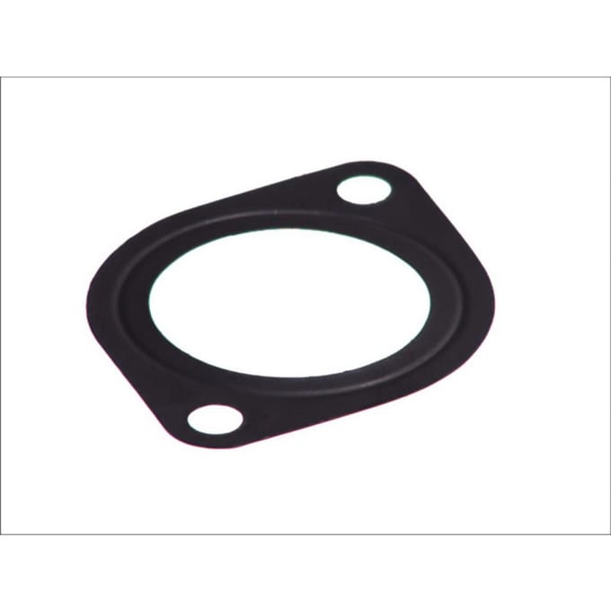 Pakking, waterpomp ELRING 257.830