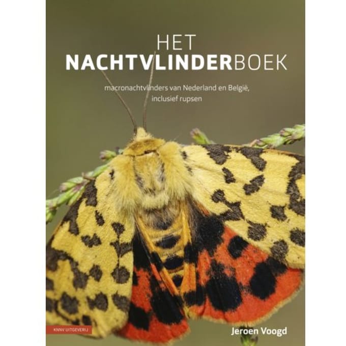 Het Nachtvlinderboek - Jeroen Voogd