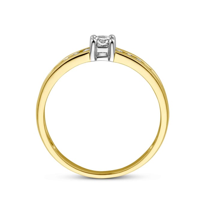 Ring Zirkonia