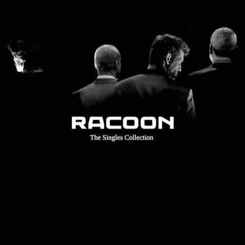 Singles Collection - Racoon