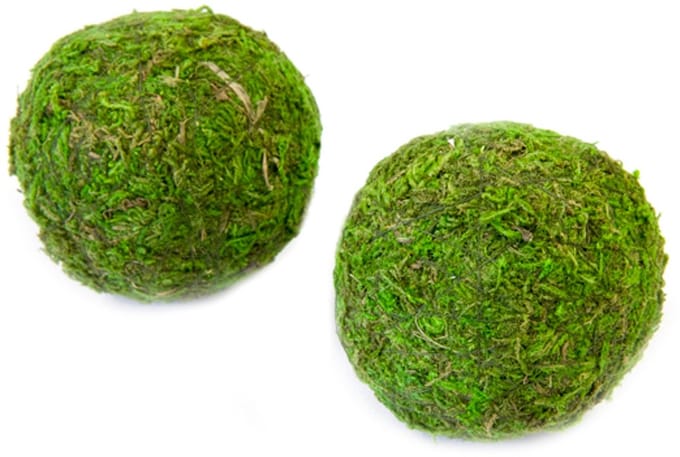 HOBI - 2 groene natuurlijke mosballen 7 cm tafeldecoratie