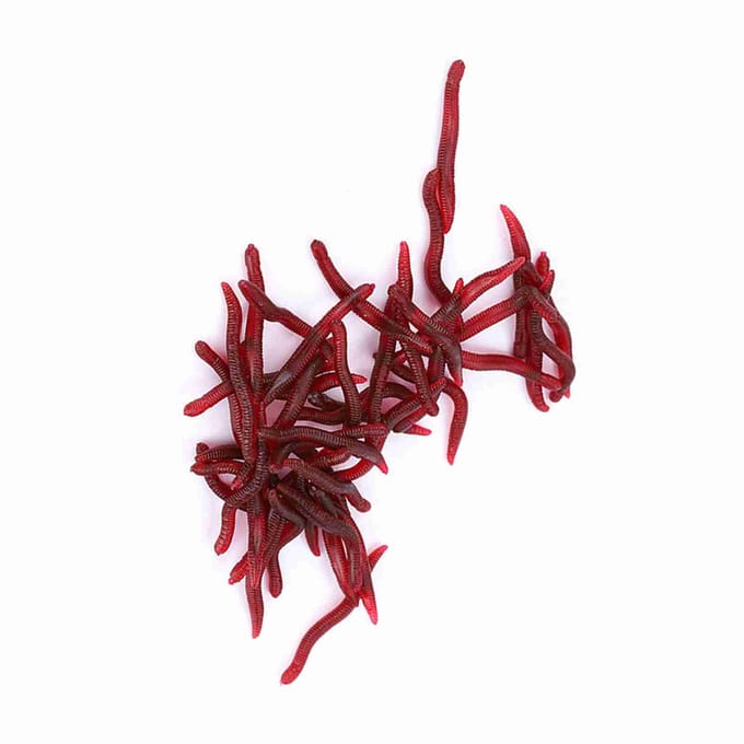 Vislokmiddel 4cm Zachte insecten Valse regenworm Zee-aas Bloedworm Lokmiddel Kunstaas 100 stuks 100pcs