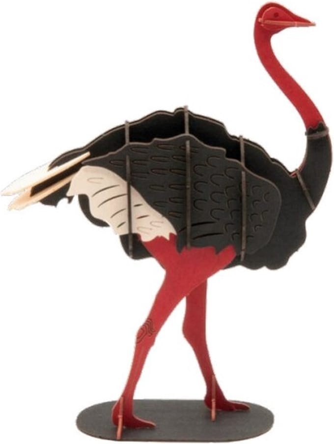 FRIDOLIN 3D Papier Model - Struisvogel.