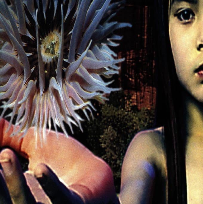 Lifeforms - Future Sound Of London