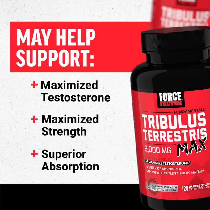 Force Factor, Fundamentals, Tribulus Terrestris Max, 2.000 mg, 120 Plantaardige Capsules (500 mg per capsule)