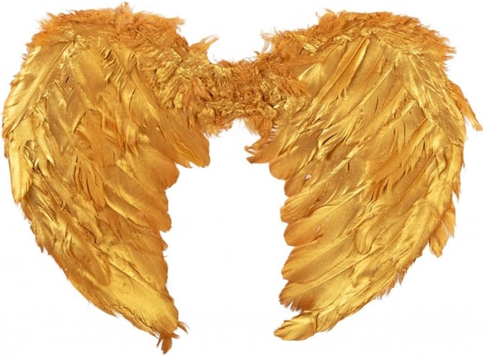 Engelen vleugels goud veren