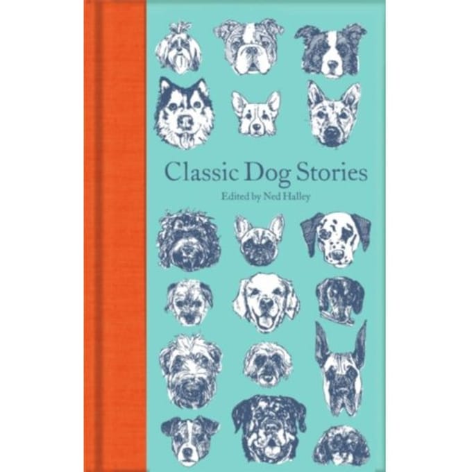 Classic Dog Stories - Macmillan Collector's Library