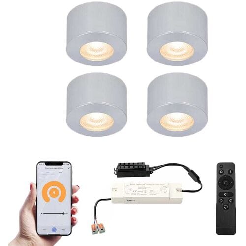 HOFTRONIC Set van 4 Navarra Smart LED Mini opbouwspots - Veranda spots - 12V 3W 200lm - Dimbaar - Wifi & Bluetooth - 2700K - IP44 waterdicht - RVS