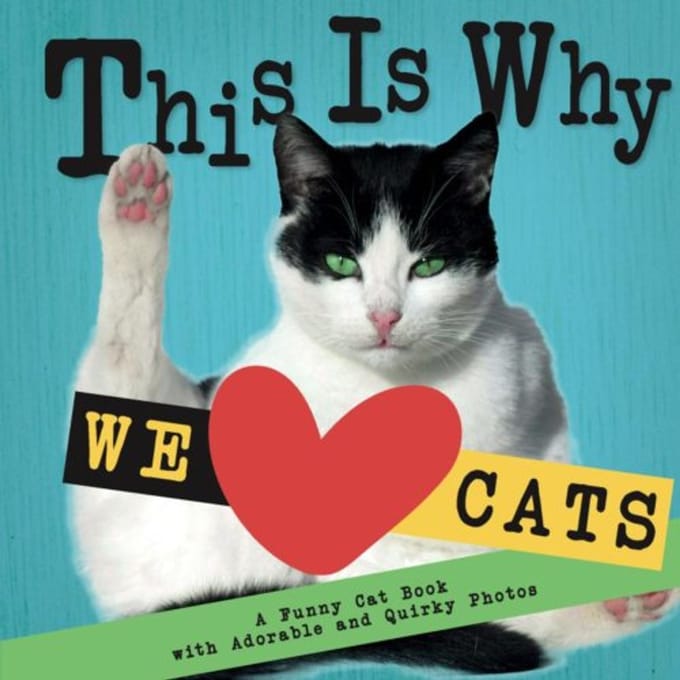 This Is Why We Love Cats - Emily Johnson