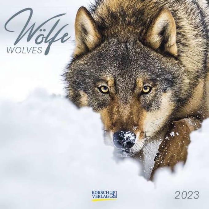 Wolven Kalender 2023