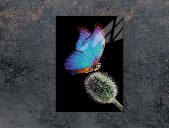 TMK ArtDeko - Snijplank - Glas - 35x52 cm - Motief: Vlinder