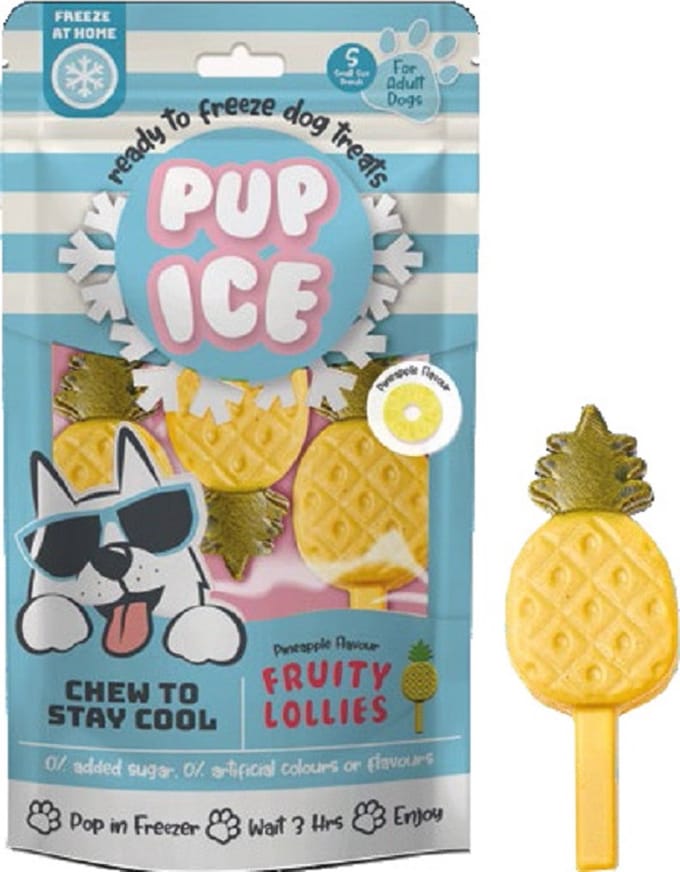 Pup Ice Hondenijsje Fruit Lollie Ananas