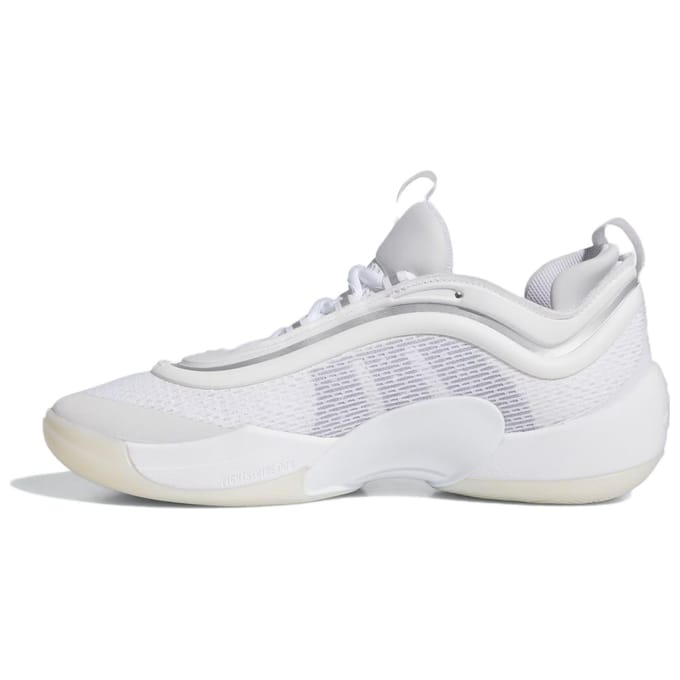 Basketbalschoenen adidas D.O.N. Issue 6