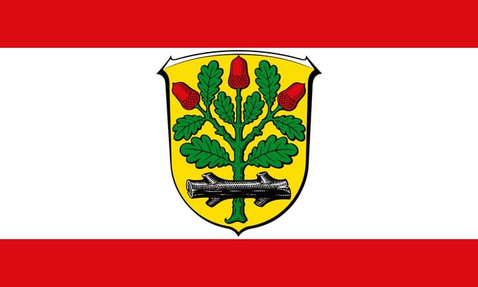 Vlag Langen 100x150cm