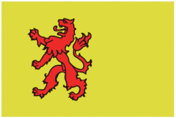 Zuid-hollandse vlag 20x30