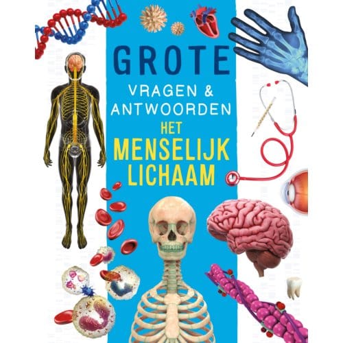 Het Menselijk Lichaam - Grote Vragen & Antwoorden - Nicola Deschamps