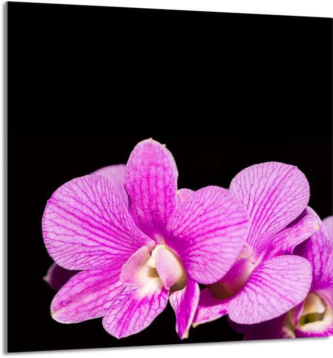TMK ArtDeko - Snijplank - Glas - 60x65 cm - Orchidee