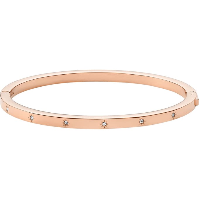 Fossil JF04394791 Damesarmband - 17,5 cm