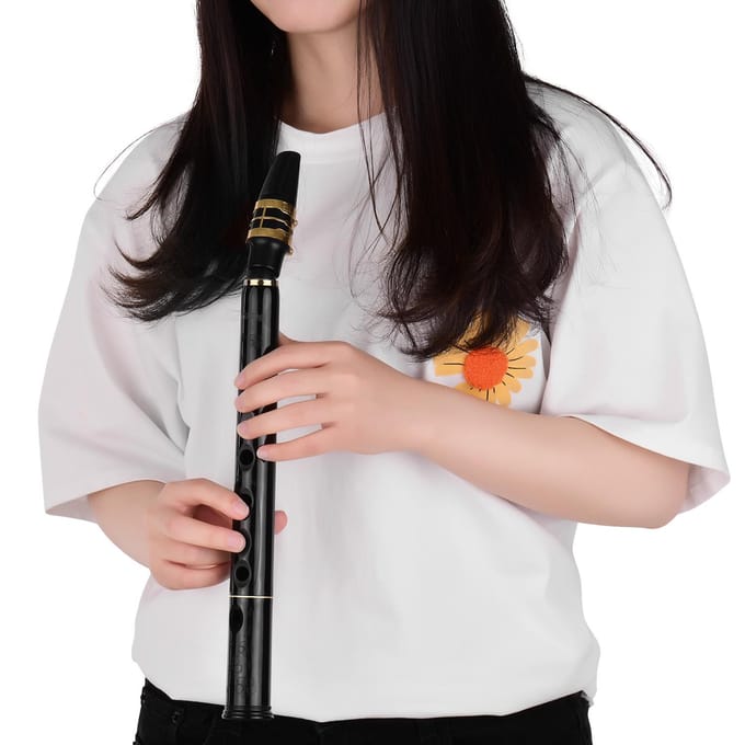 HiXing C Key Mini Pocket Saxofoon Sax ABS Materiaal met Mondstukken 10 stks Riet Draagtas zwart