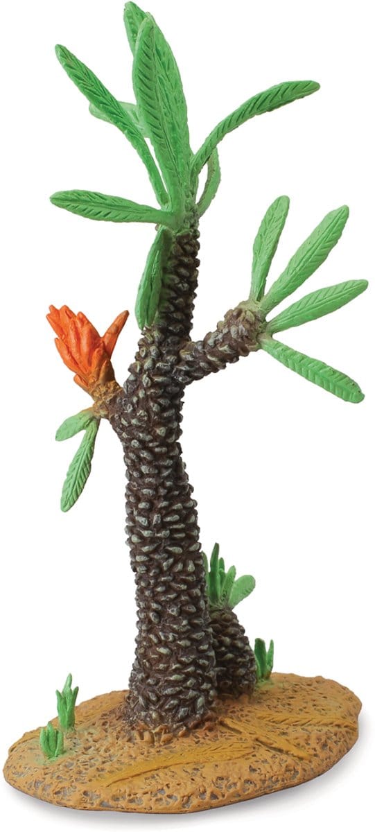 Williamsonia Boom