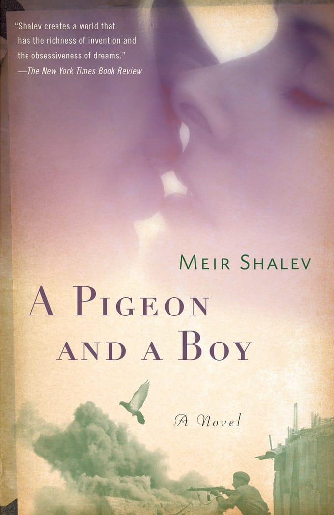 Pigeon And A Boy - Meir Shalev