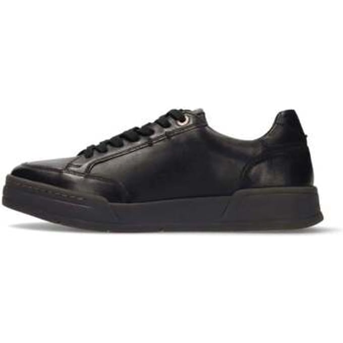 Lage Sneakers Salamander -