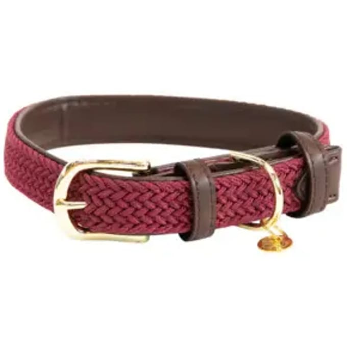 Gevlochten nylon hondenhalsband Kentucky