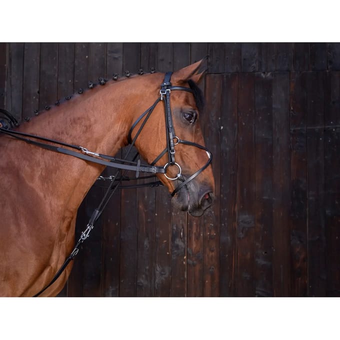 Teugels voor lederen gog paarden Riding World