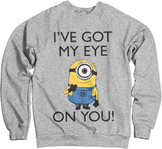 Minions Sweater/trui -S- I Got My Eye On You Grijs