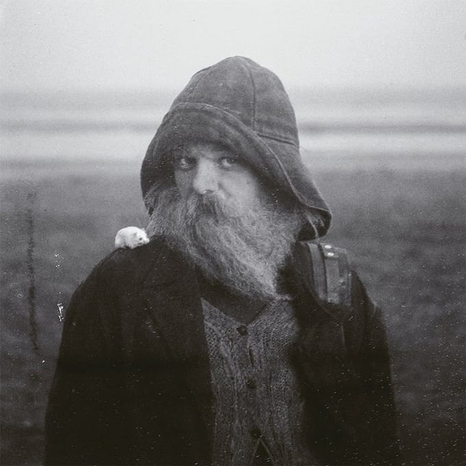 Mary In The Junkyard - Role Model Hermit (LP)