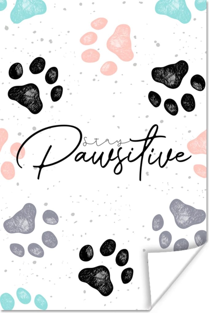 Poster Quotes - Spreuken - Stay pawsitive - Dieren - 20x30 cm