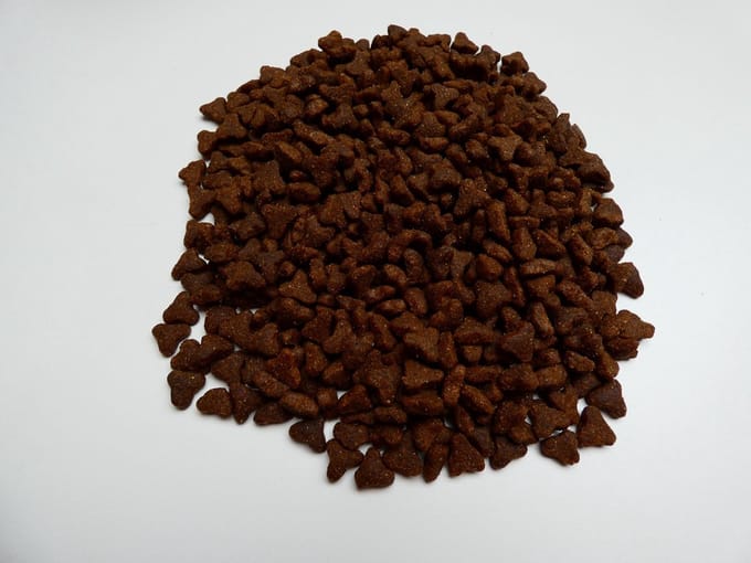Super Premium kat 10 kilo