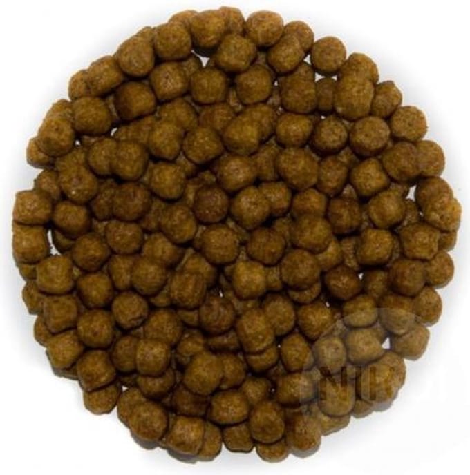 Koivoer Coppens 5 kg 3mm korrel
