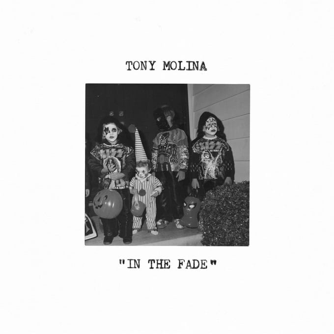 Tony Molina - In The Fade (LP) (Coloured Vinyl)