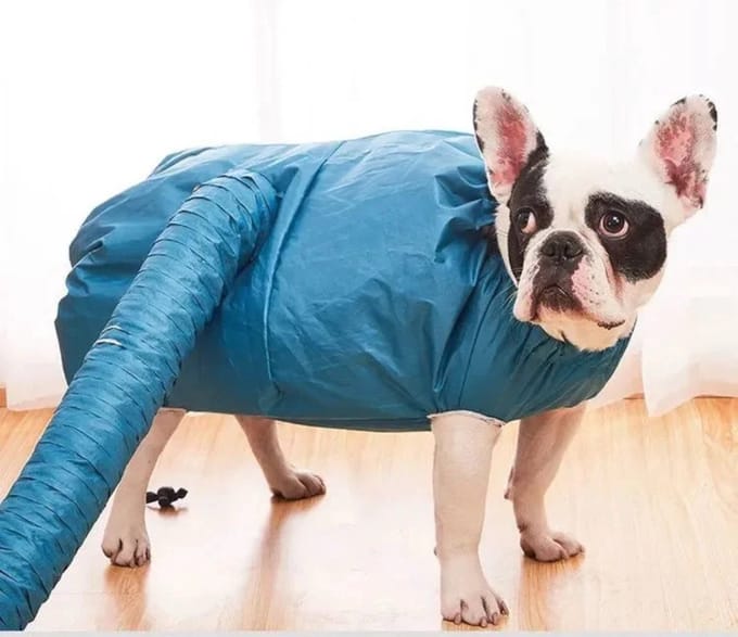 GEAR3000® Hondenfohn - waterblazer voor honden - droogzak - maat M