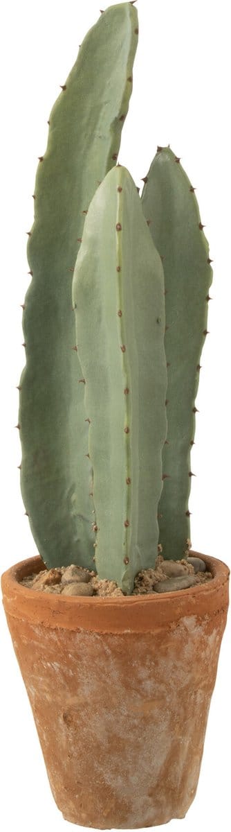 J-Line plant Cactus 3 Stuks In Pot - kunststof - groen - small