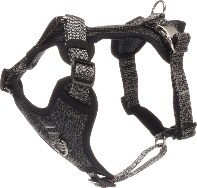 Flamingo - Hond Harnas Mago Donkergrijs S 31-49cm 40-60cm 20mm