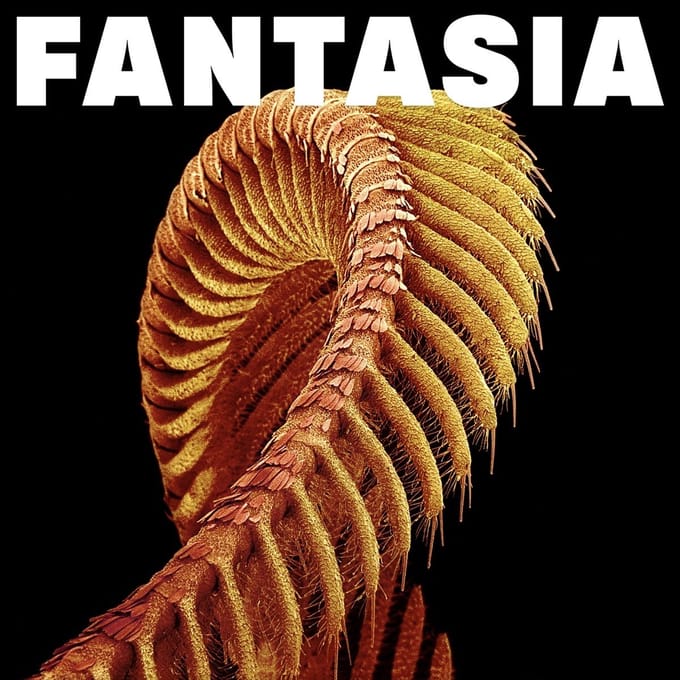Slift - Fantasia (CD)