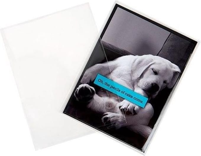 Plastic Zakken 6.5x27cm Transparant (100 stuks) | Plastic zak