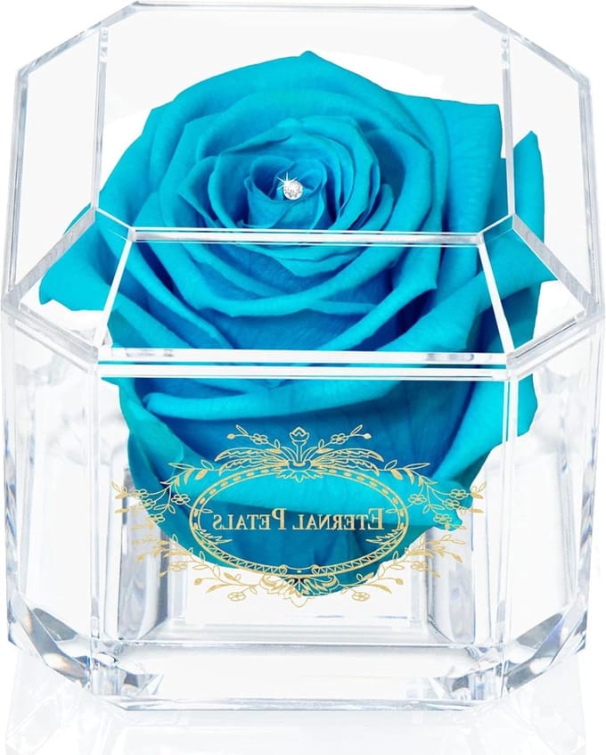 Eeuwige Roos - Behandelde Bloem - Cadeau Geven - Echte Roos Behandeld - 8x8x8 cm - Blauwe Lagune