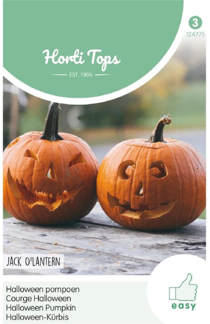 Hortitops Zaden - Pompoen Jack O'Latern (Cucurbita Pepo)