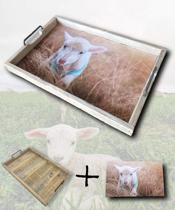 Houten Dienblad met Inleg van een Lammetje 58cm