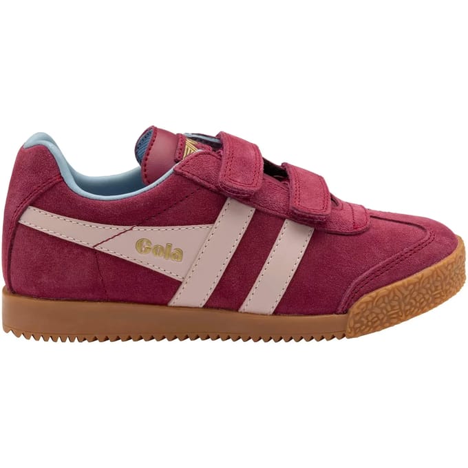 Kindertrainers Gola Harrier