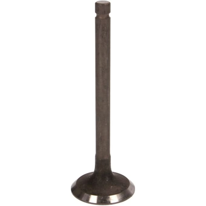 Uitlaatklep FRECCIA R4391/RNT
