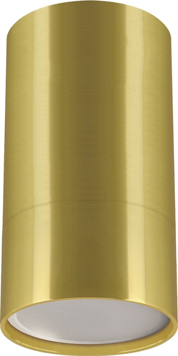 Plafond - Opbouw Spot Armatuur - GU10 fitting - Rond - goud kleur