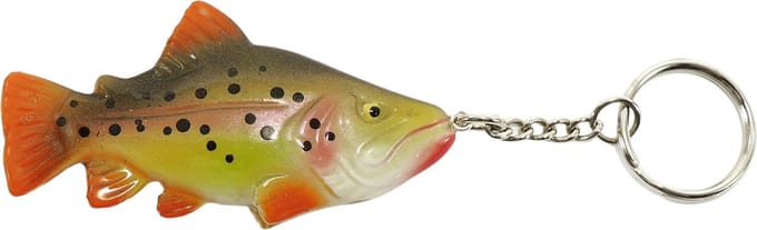 Gekleurde Vis Sleutelhanger Regenboogforel Rainbow Trout Forel Fish Keyring Viscadeau Cadeau Vissen