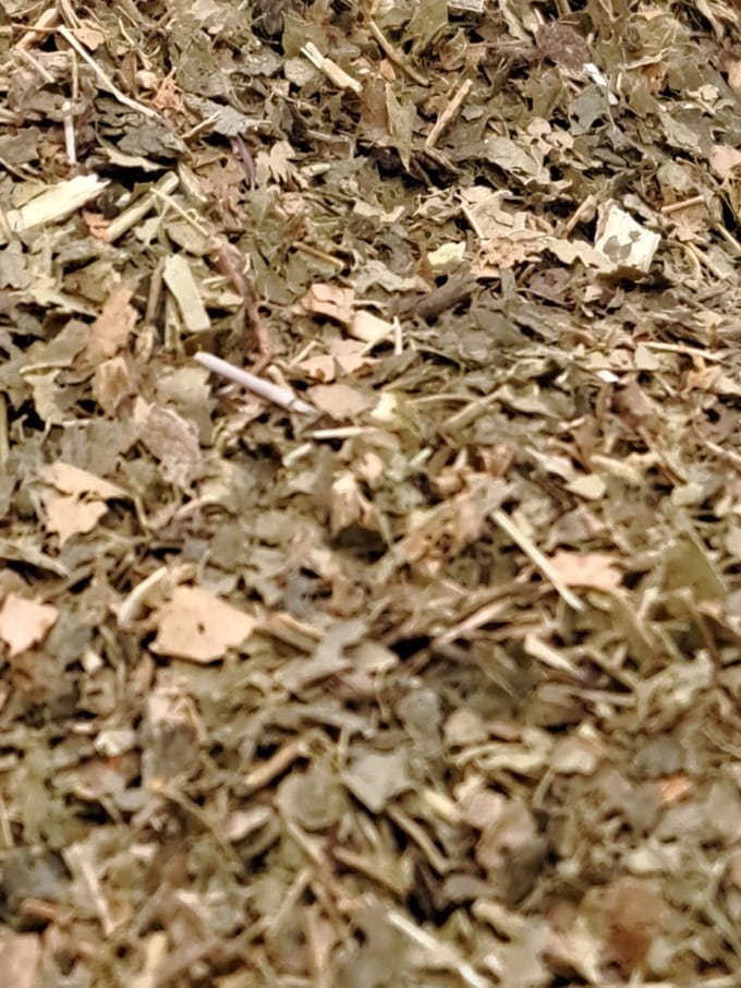 Toverhazelaar thee 65g (Hamamelis Virginiana)