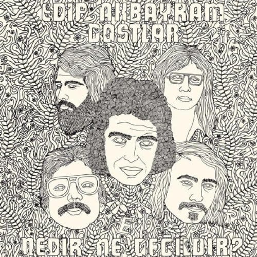 Edip Akbayram & Dostlar - Nedir Ne Degildir? (LP) (Spain)