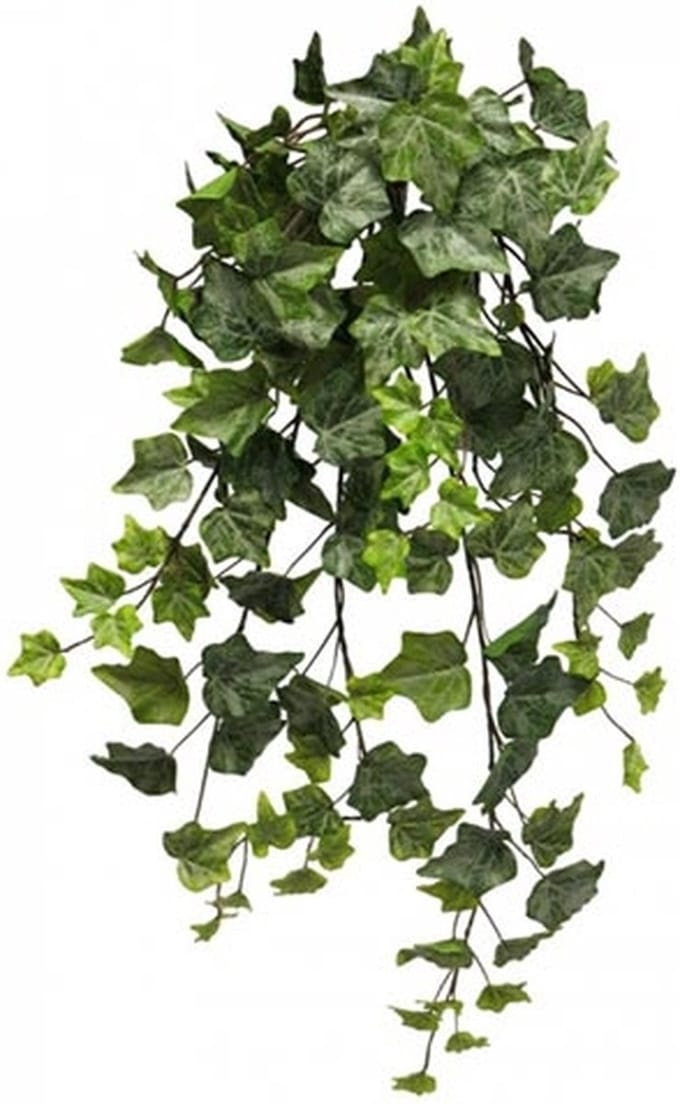 Frosted Ivy Chicago hanger 70 cm kunsthangplant Erutan Avon