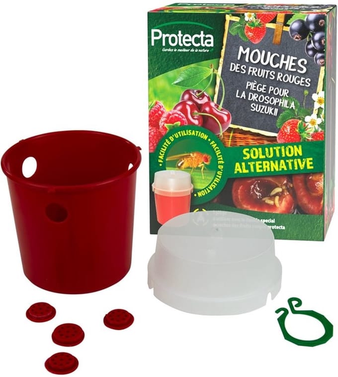 Protecta Aziatische fruitvliegenval + lokstof Standaard